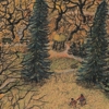 GINO COVILI - Il parco in autunno a volo d'uccello, 1996/97